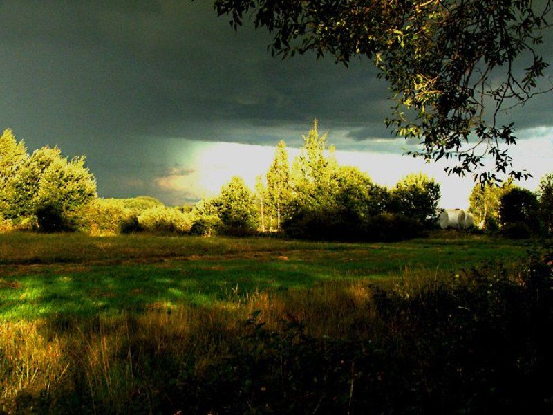 гроза,дождь photo preview