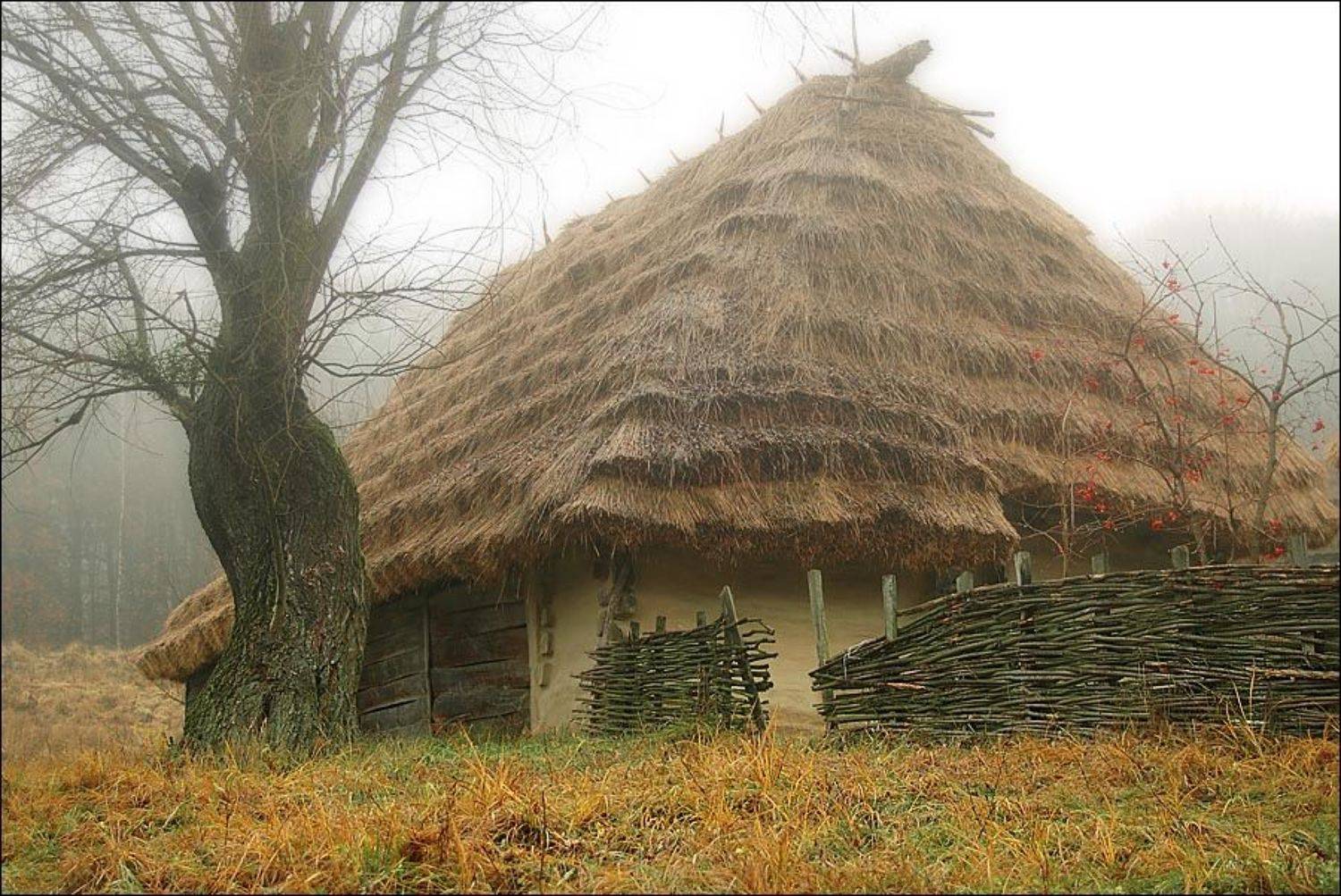 пирогово, киев, Olena Savytska