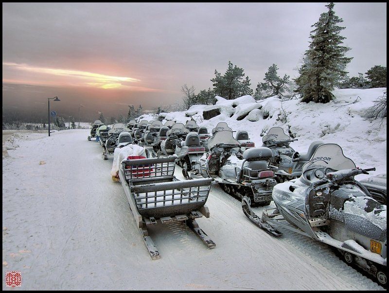 снег, снег, снег Вперёд, заре навстречу! :))photo preview