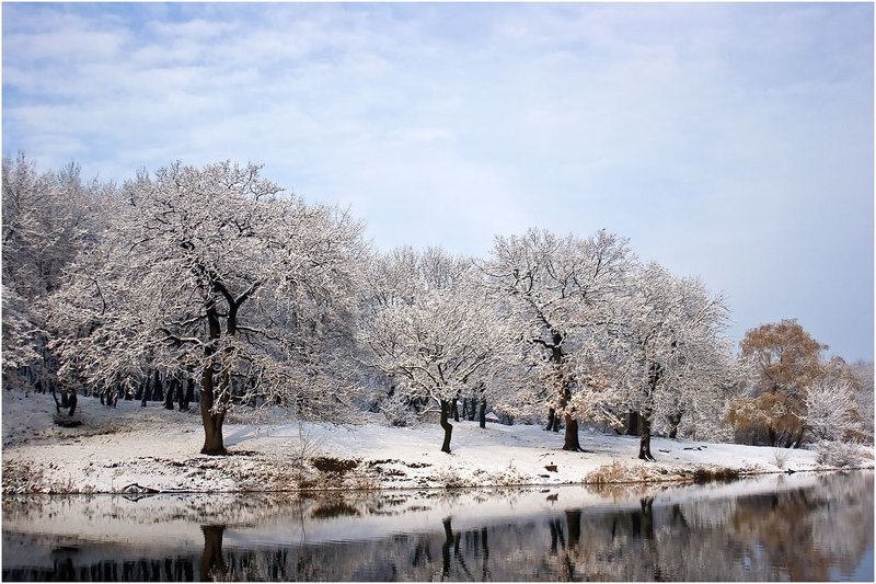 Преддверие зимыphoto preview