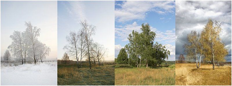 Четыре времени года - четыре состояния души фото превью