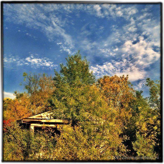 Забытое в осени.... Автор: Pilgrim пейзаж, пленка, 120 film, средний формат, medium format, 6x6, yashica-d, pilgrim, Pilgrim