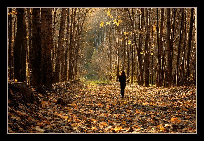 девушка, осень осеннее настроение2photo preview