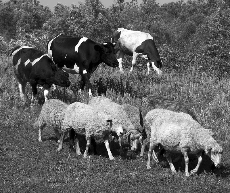 Пост закончился. Мы возвращаемся. фото превью