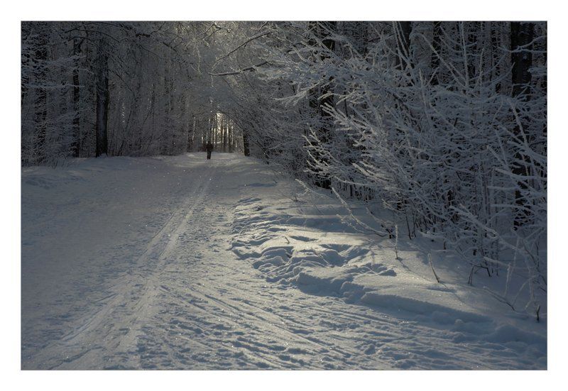 снег, свет, зима просто пришла зимаphoto preview