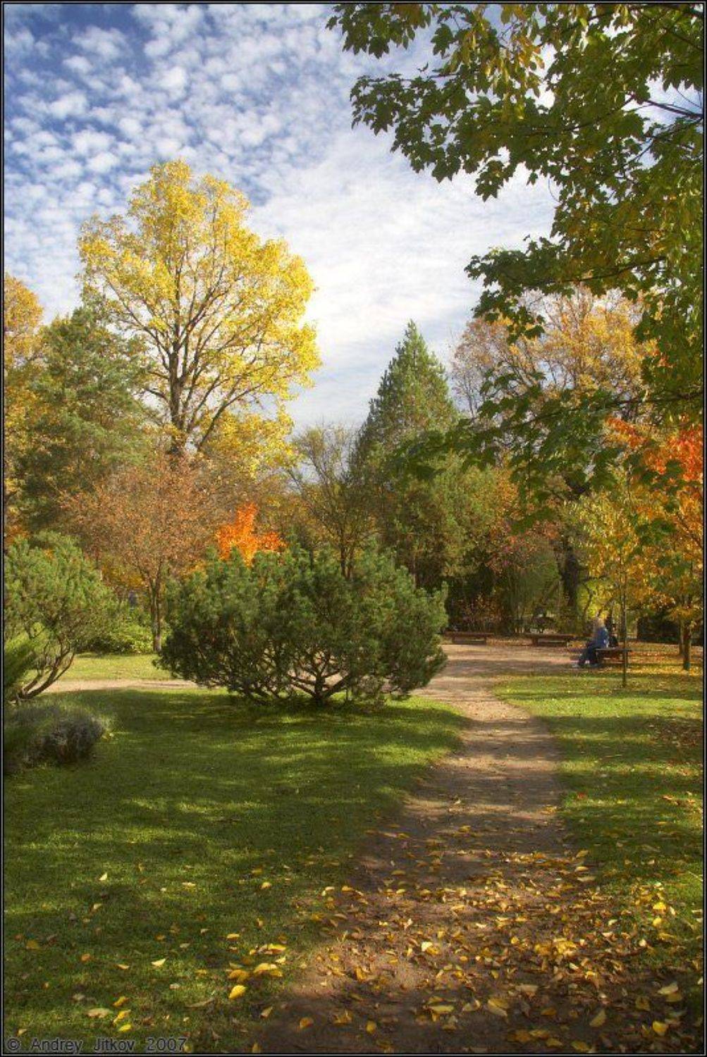 осень, октябрь, пейзаж, Андрей Житков