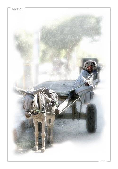 египет, Vladimir Pashkov