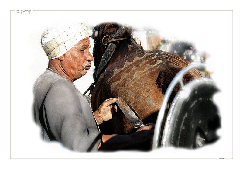 египет people #7photo preview