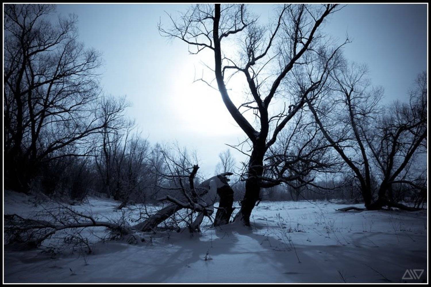 январь, зима, Денис Рассоха