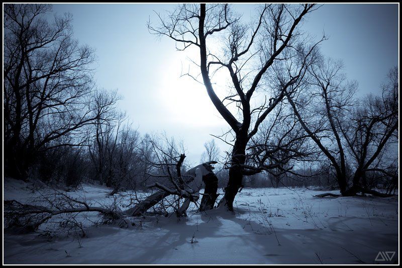 январь, зима Холодный январьphoto preview