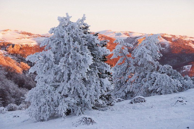 крым Утро Нового годаphoto preview