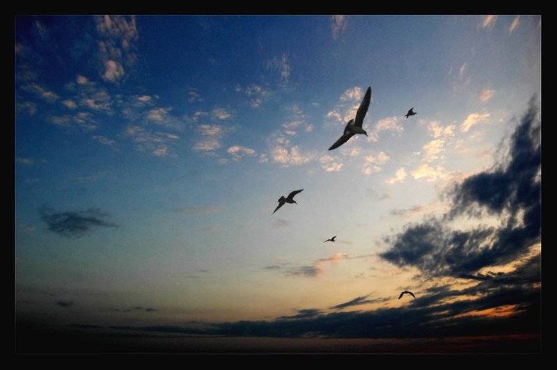 моренебооблака На Западphoto preview