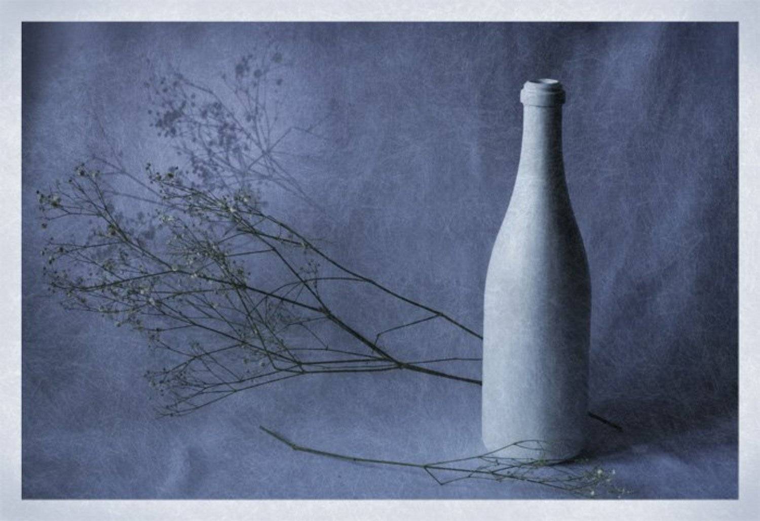 бутылка, сухоцвет, световая кисть, Айрин