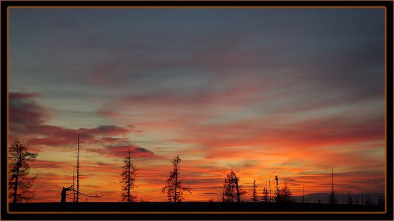 тайга,закат Догорающий закатphoto preview