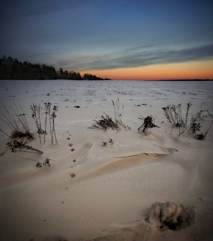 сумерки..photo preview