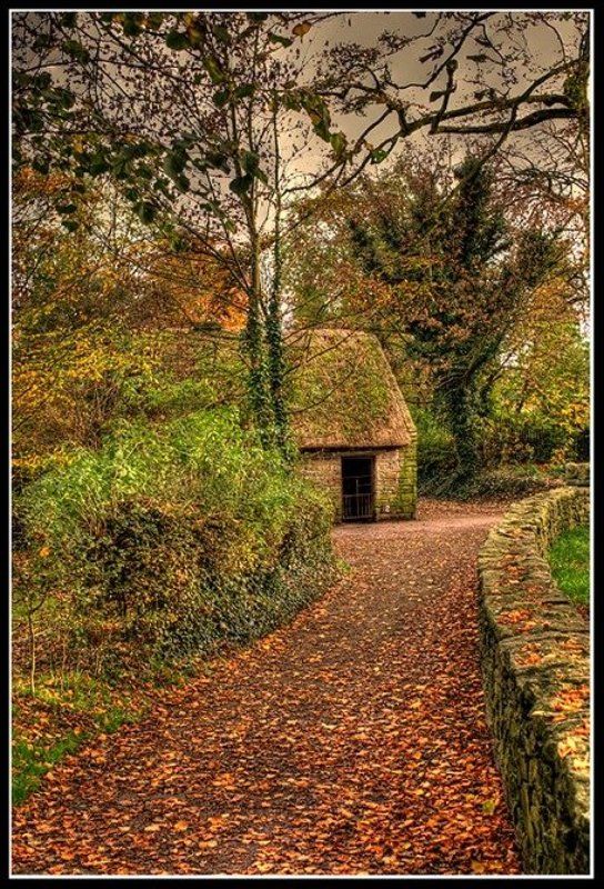 ireland Прогулки по осениphoto preview