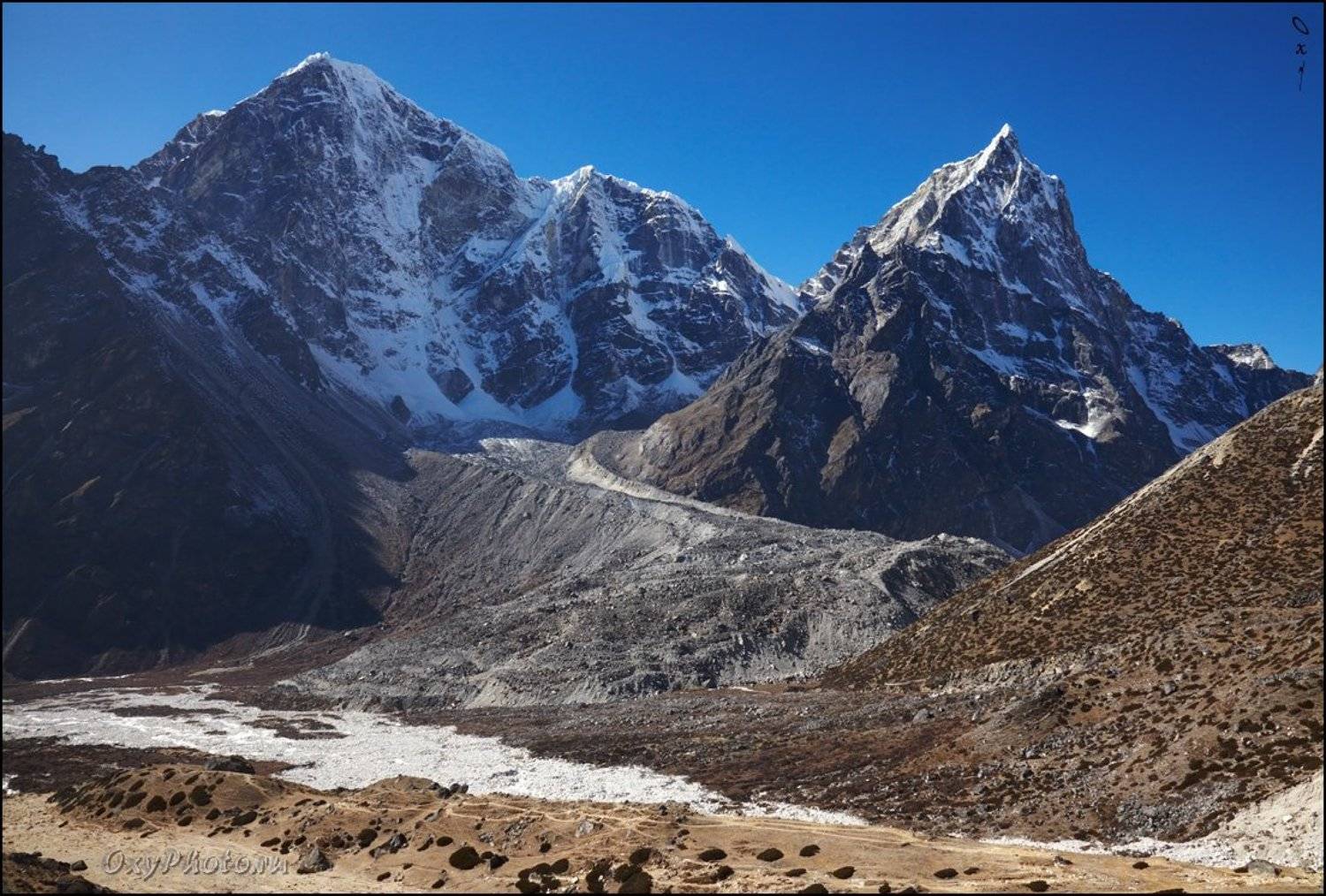 , Оксана Борц