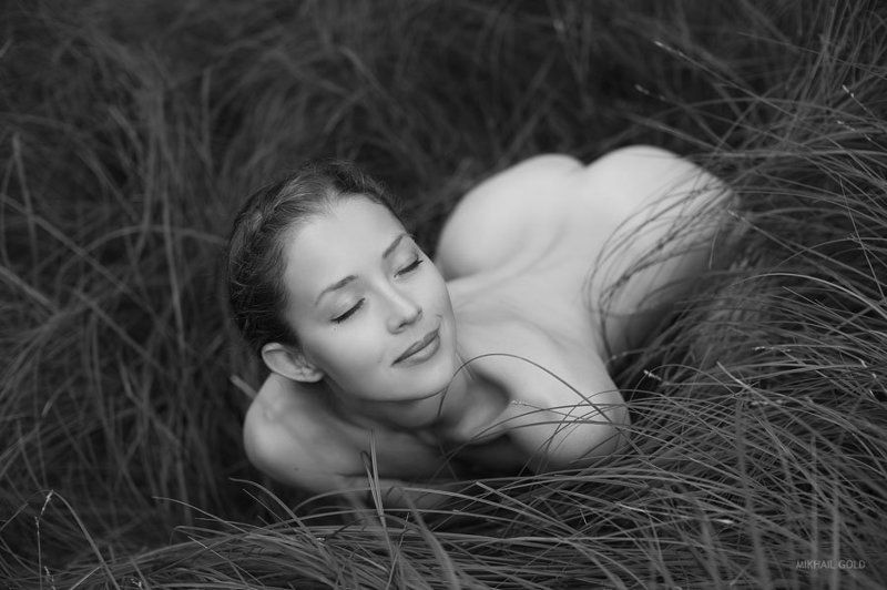 the, deep, forest, svenska, sagor, gold photo preview