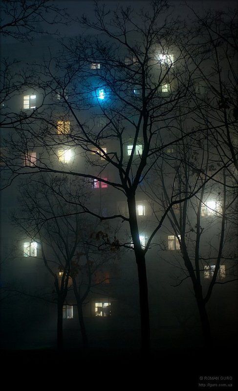 fog, туман photo preview