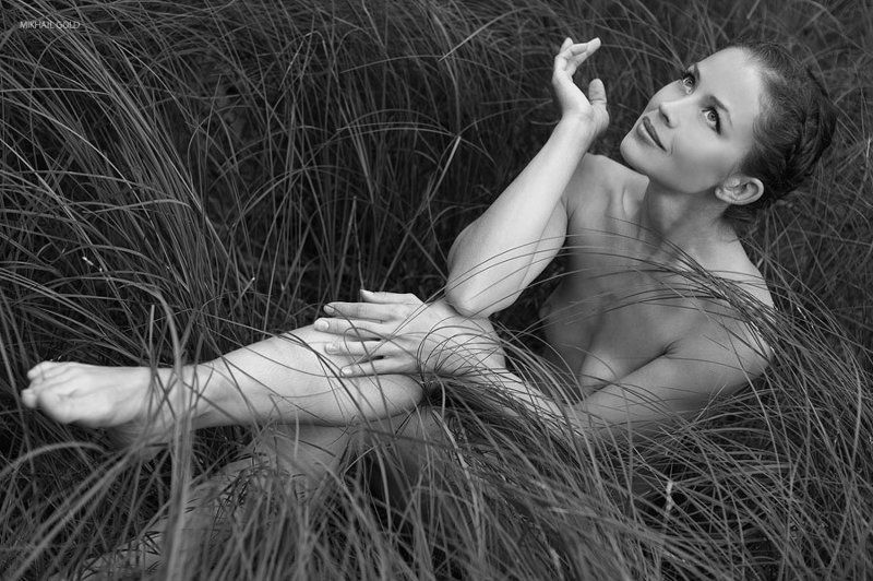 deep, forest, svenska, sagor, gold photo preview