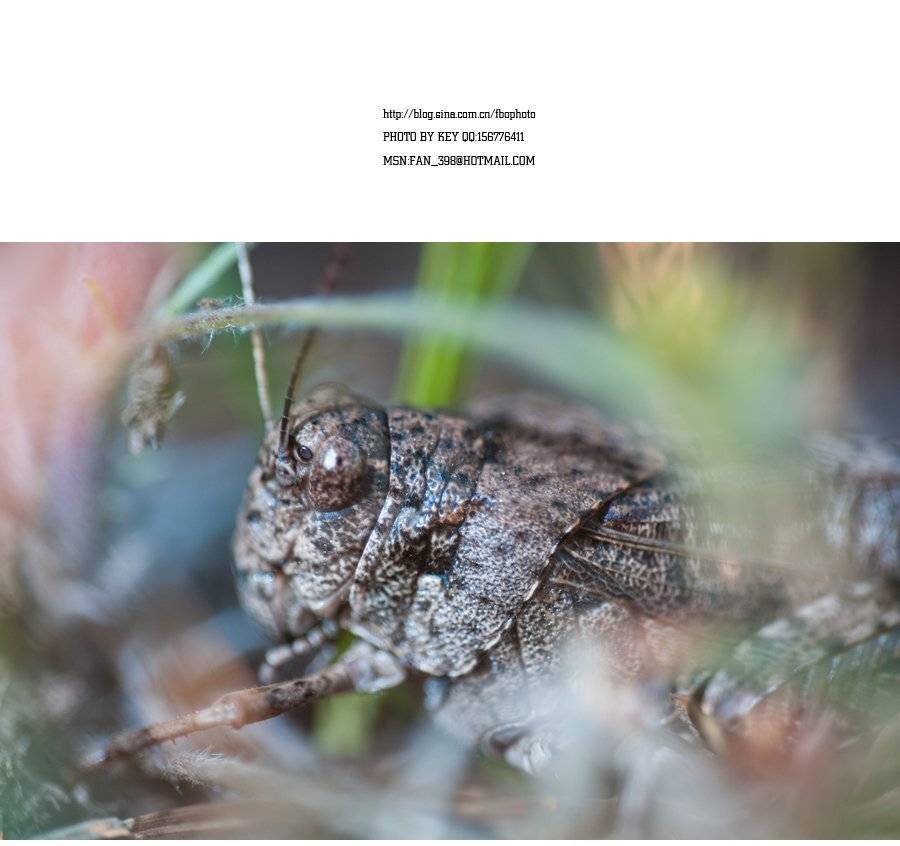 Автор: yufan , yufan