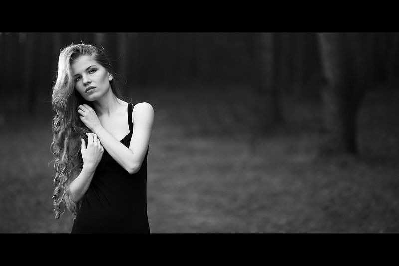 forest, slava, rarity photo preview