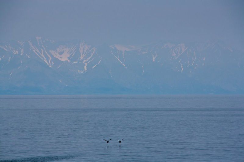 байкал photo preview