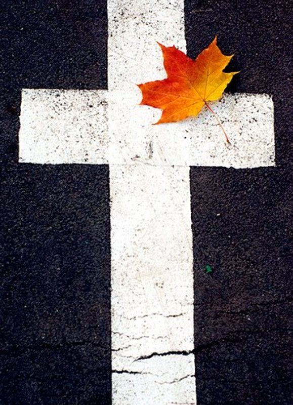 лист, крест photo preview