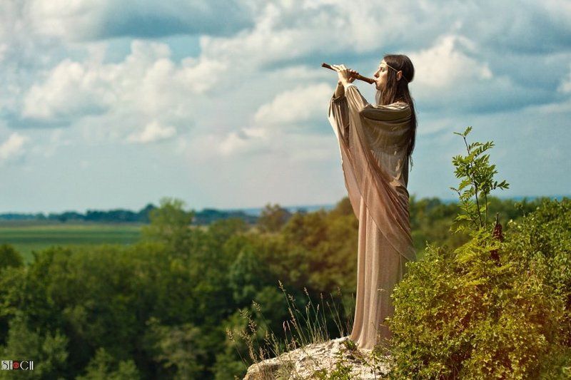 улица, лето, природа photo preview