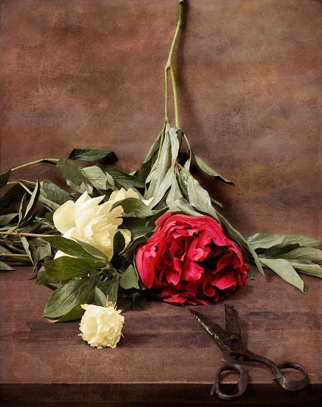 плагиат, натюрморт, э. мане, ножницы, пионы Подражая Э. Манеphoto preview