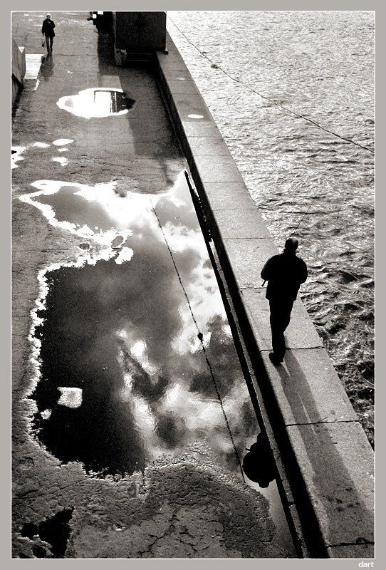 питер, чб, жанр Течениеphoto preview