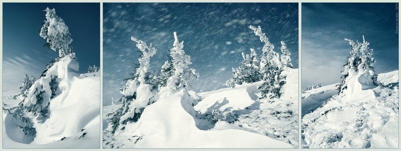 карпаты, зима, осень photo preview