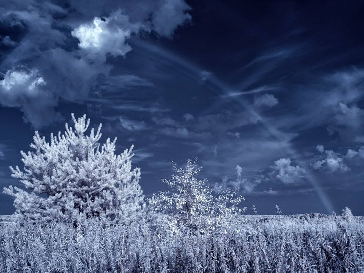 Автор: Максим Евдокимов , Максим Евдокимов