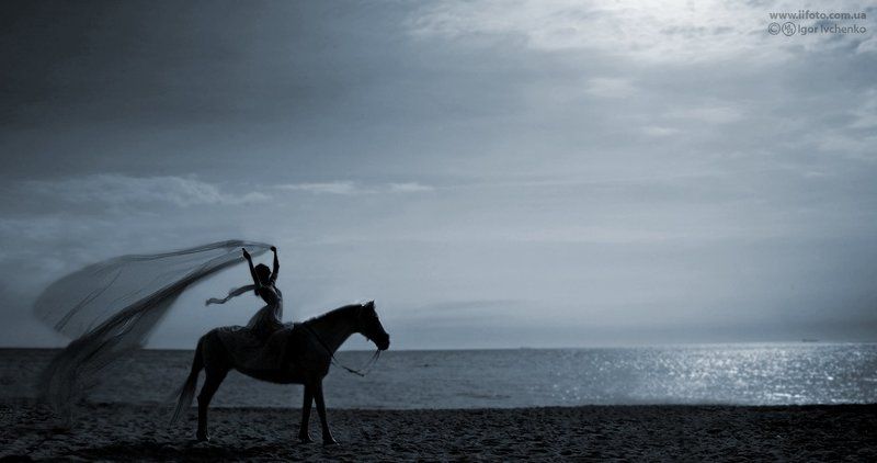 лошади, конный спорт photo preview