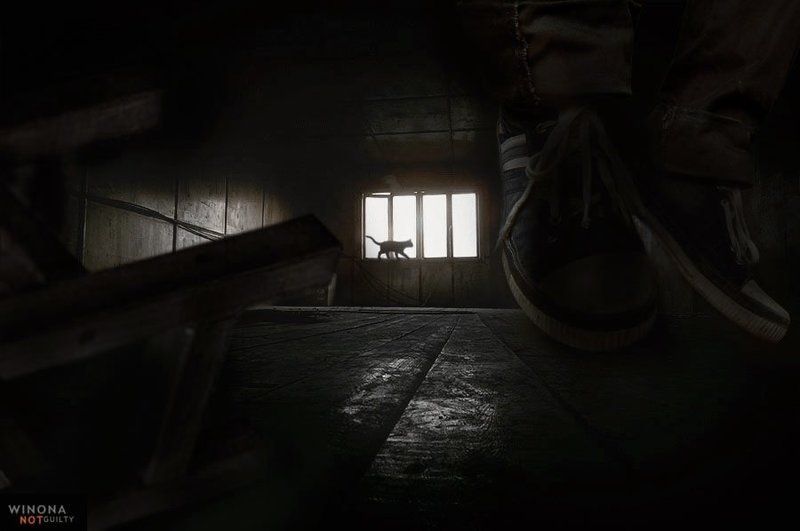 cat, suicide, attic, d90 photo preview