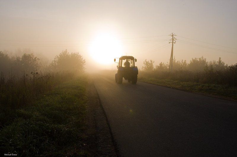 туман photo preview