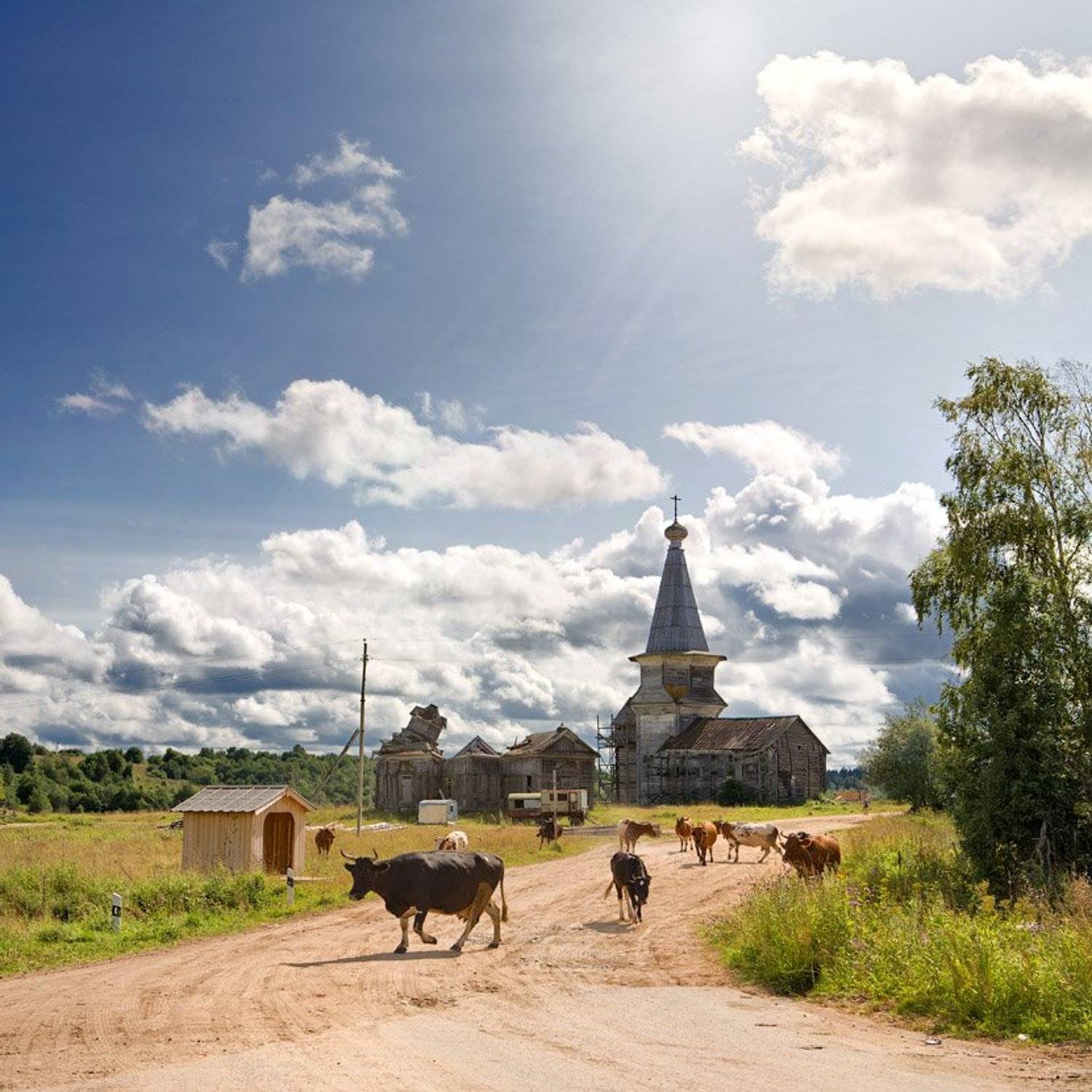 саминский, погост, Владимир Кириченко (vlkira)