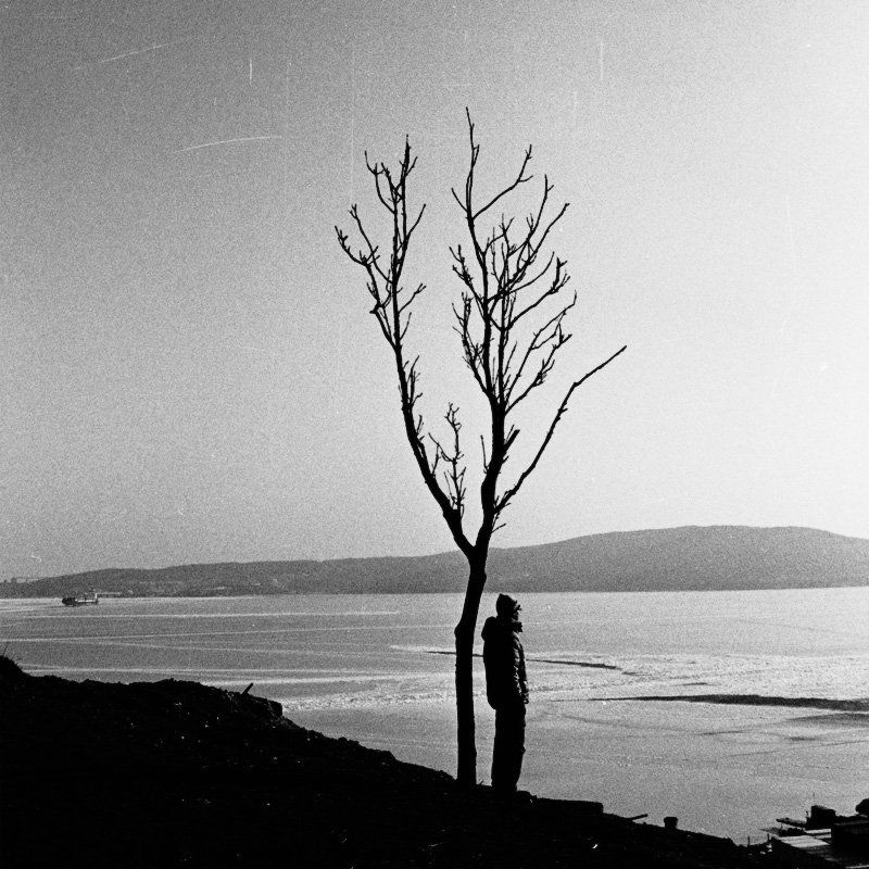 одиночество, одинокий, дерево, черно-белая, пленка, rolley, retro  фото превью