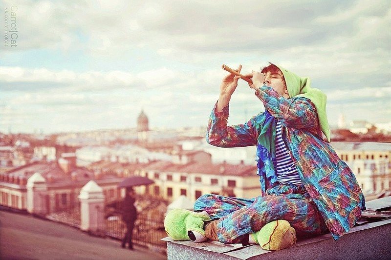 roof, carrotcat photo preview