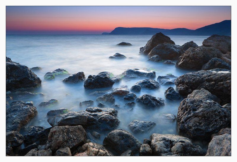 крым, инжир photo preview