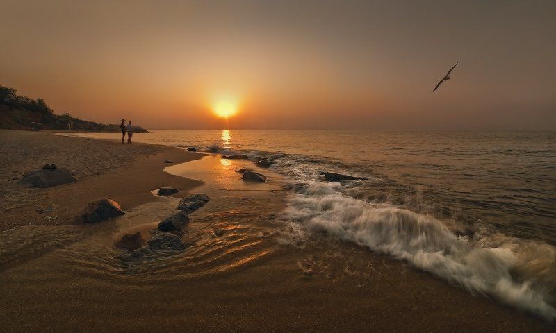 Когда с рассветом приходит августphoto preview