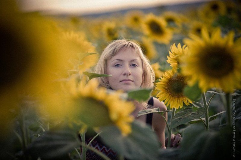 подсолнухи, поле, природа, портрет, девушка photo preview