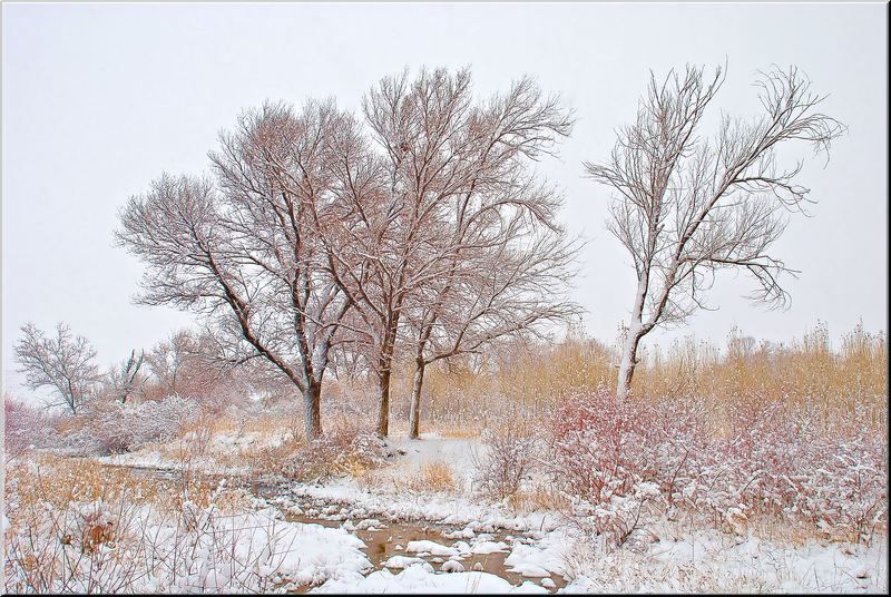 природа, казахстана, юг photo preview