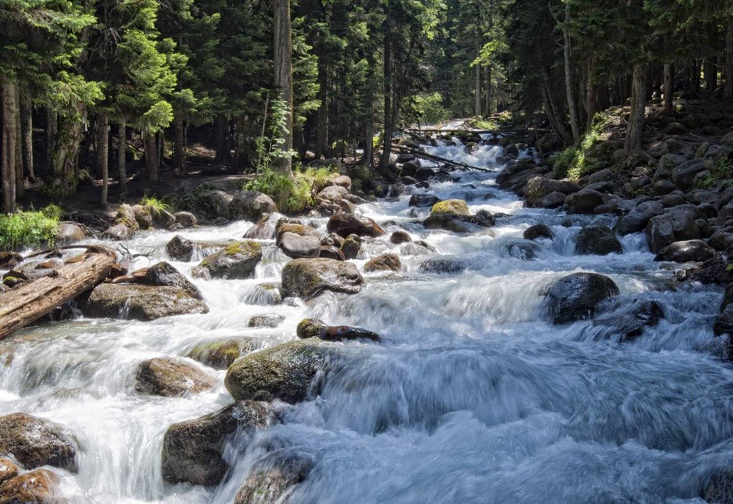 Автор: Александр Свиркин архыз, Александр Свиркин