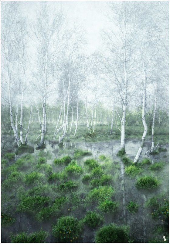 Веснаphoto preview