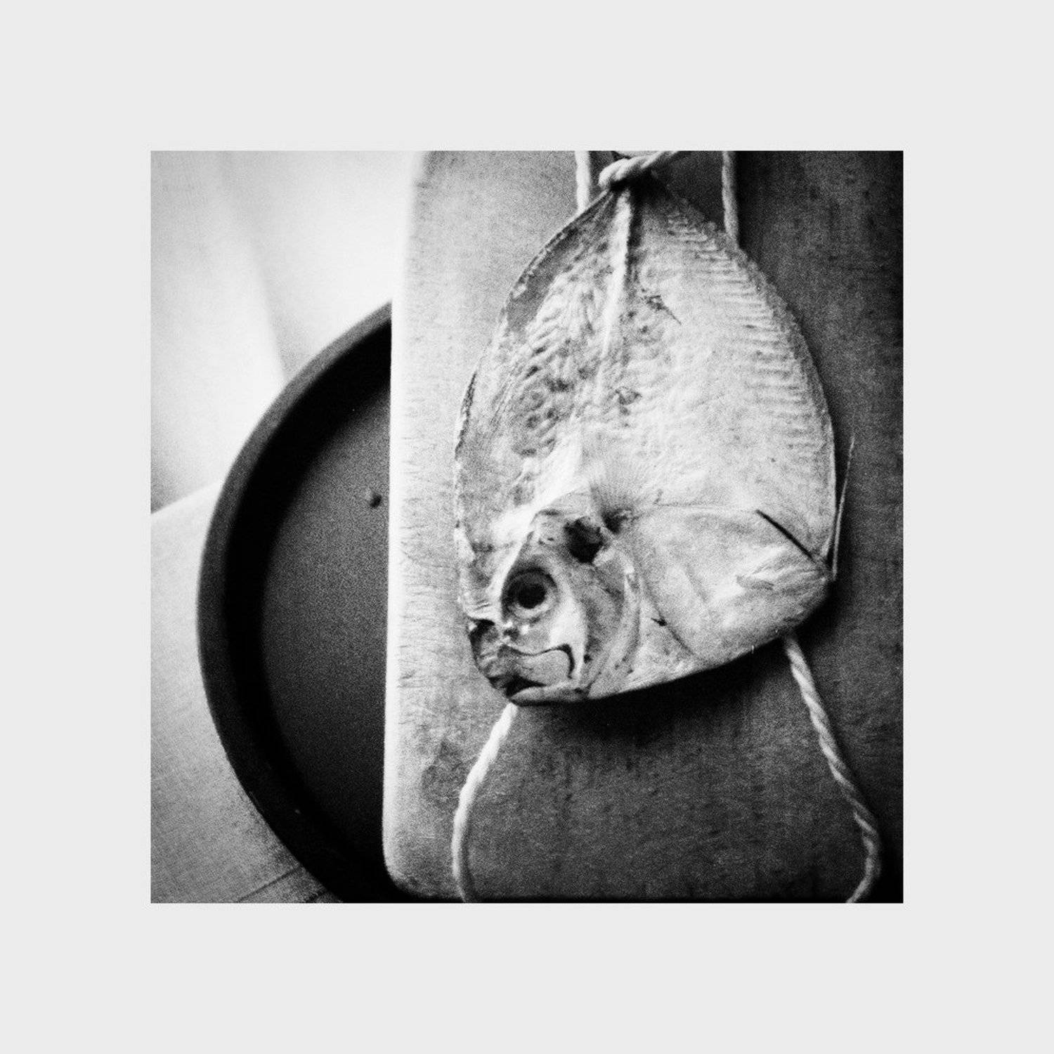 Автор: Игорь Филипенко , Игорь Филипенко