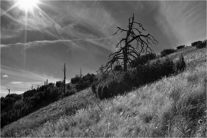 хребет, , крака, , южный, массив, крака, урал, южный, , , , , башкирия  фото превью