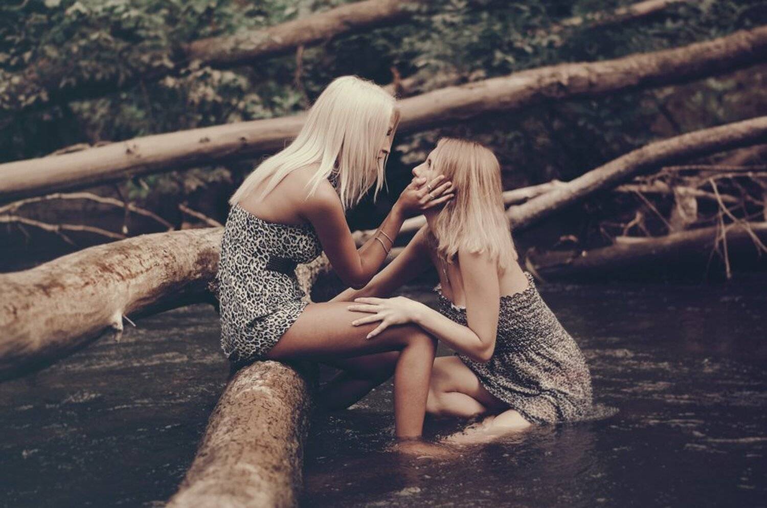 Novela de suspense. Автор: FotoArts , FotoArts