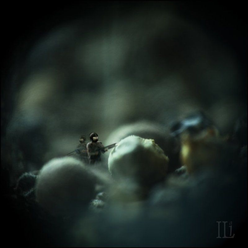 макро Кто не спрятался, мы не виноватыphoto preview