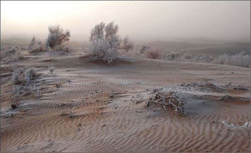 природа, пески, казахстан photo preview